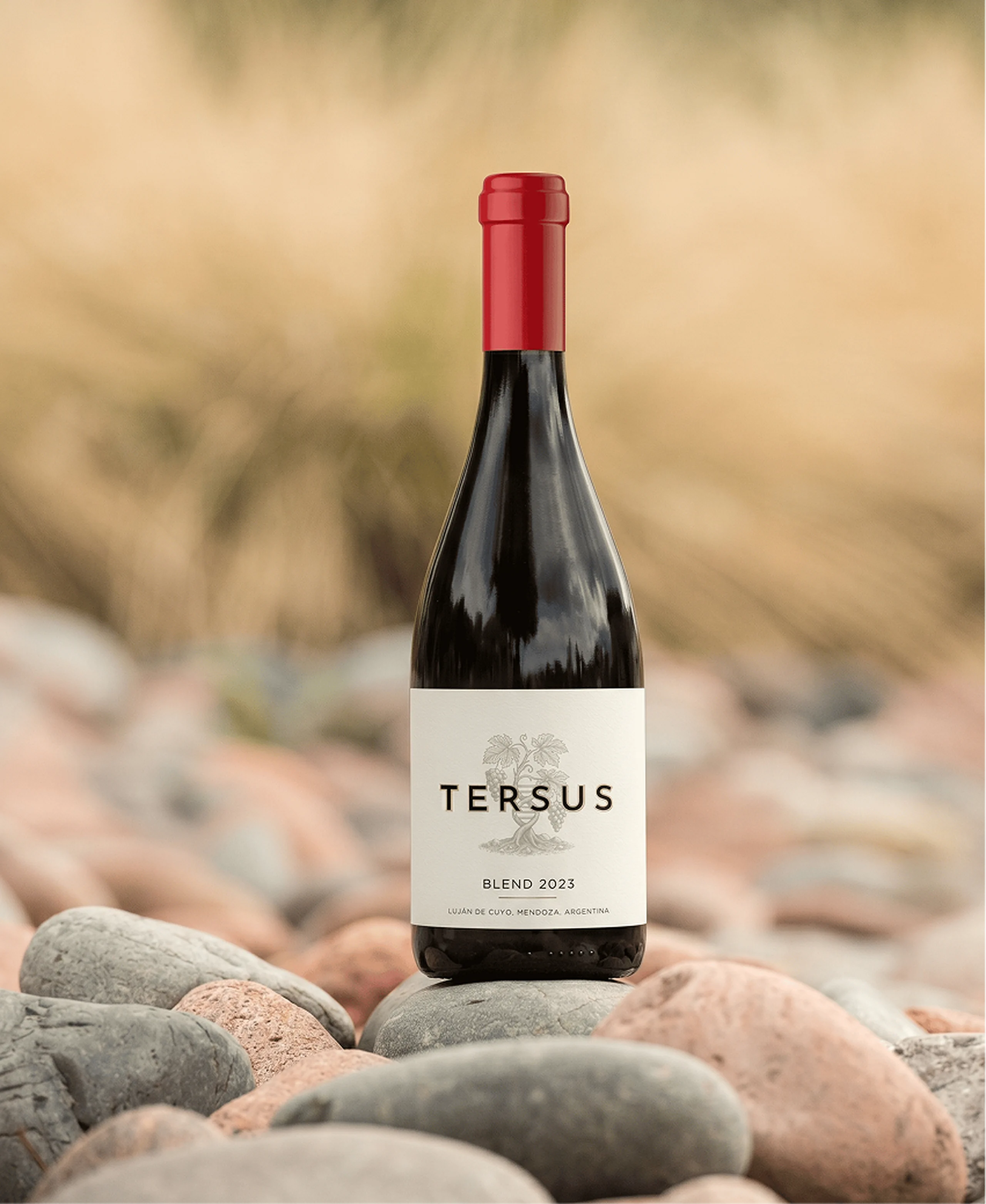 TERSUS BLEND 2023